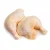 Import Halal Frozen Whole Chicken / Feet / Paws / Leg / Breasts from South Africa
