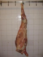 Halal Goat Carcass