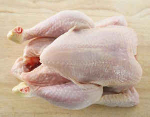 Halal Whole Frozen Chicken,Chicken Feet,Paws ,Drumsticks Grade