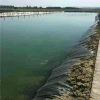 HDPE 500 micron hdpe geomembrane pond liner 60 mil hdpe liner cost