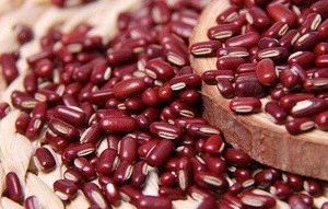 Healthy Food and Medicine Red Phaseolus Bean