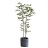 Height 160cm Green Artificial Ficus Tree for Home Office Shopping Mall Decoration
