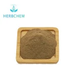 High Quality Arctium Lappa Fresh Great Burdock Root Extract Powder