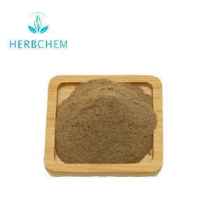 High Quality Arctium Lappa Fresh Great Burdock Root Extract Powder