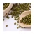 Import High Quality Crop Green Mung Bean Importers For Sale from China