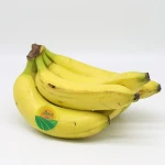 HIGH QUALITY FRESH CAVENDISH BANANA FROM VIETNAM