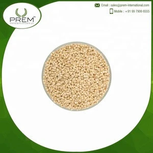 High Quality Low Price White Sorghum For Sale