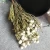 Import High quality unfading preserved foliage coral fruit leaf for home decoration from China