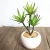 Import Highly realistic small size artificial plants potted succulents for indoor decoration from China