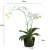 Import Highly simulated environmental protection ornament artificial butterfly orchid plant bonsai from China