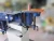Import Horizontal Spindle Oscillating Belt Sander from Taiwan