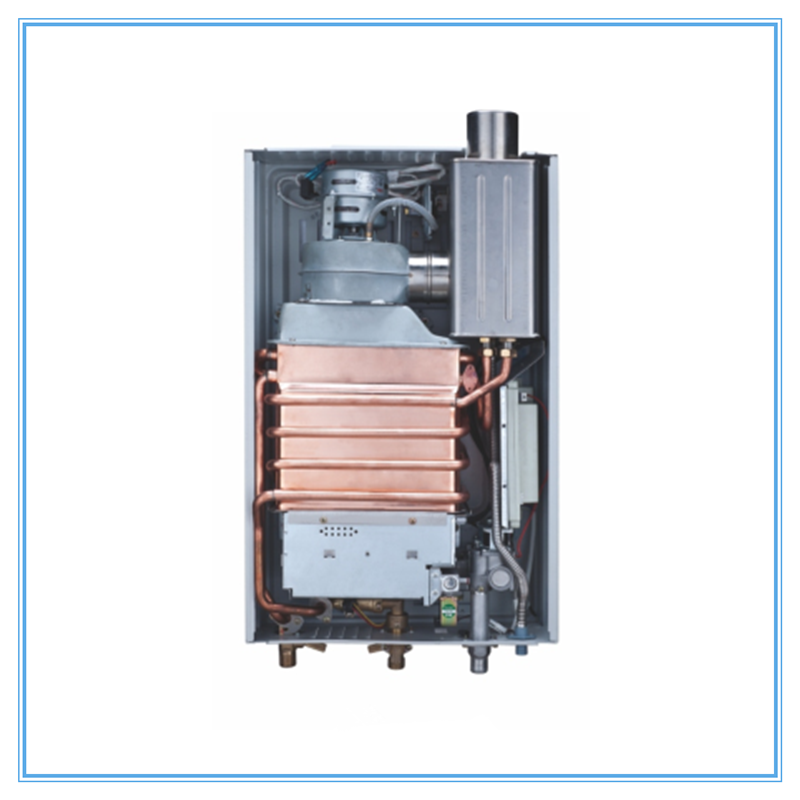 Hot Sale Condensing Type Gas Water Heater