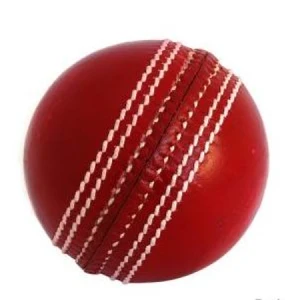 hot sale cricket hard ball