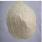 Hot sale, high quality Dried Vital Wheat Gluten Flour