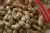Import Hot Sale Peanut Factory Direct Sale Red Skin Peanuts from Germany