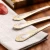 Import Hot Sales Stainless Steel Flatware Set Home Utensils With Gold-Plated Handle from China