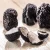 Import Hot Selling Factory Price  Price Dried Black Truffle Black Summer Truffle Mushrooms from China