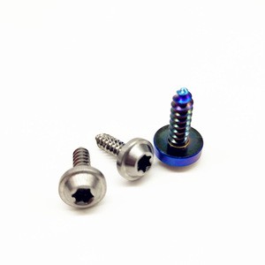 Hot selling High Quality Titanium Alloy Self Tapping Wood drywall Screw  by PYTITANS