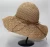 Import Hot selling Wide Brim Beach straw hat wholesale Foldable Straw Hat from China