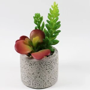 Hot wholesale Mini Artificial Succulent Plants with Gray Cement Pots