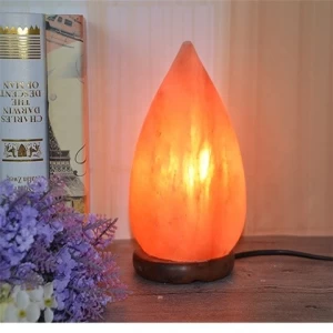 Hotsale Pakistan Himalayan rock Crystal bulb Cornucopia Carving Dimmable salt lamp Table Lamp