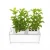 Import hydroponics garden supplies from China