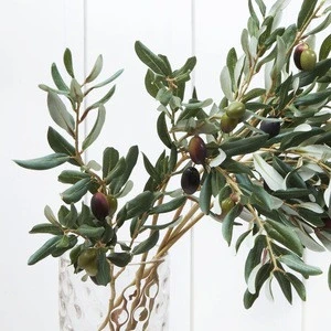 hydroxytyrosol, olive leaf p e, olive leaf plant extract