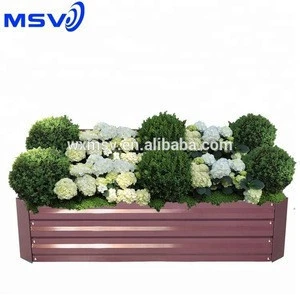 Ideal outdoor plants, gardeners supply, large garden containers