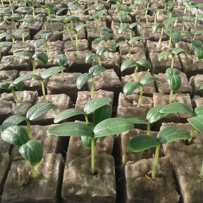 Indoor Greenhouse planting system growing media commercial Hidroponic agricultural rock wool
