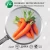 Import Instant Freeze Dried/Spray Dried vegetable carrot Daucus carota Powder CADY from China