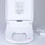 Import Intelligent warm water spray heated toilet seat bidet electric from China