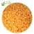 IQF Frozen Apricot Dices 10mm