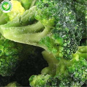 IQF frozen broccoli fresh broccoli and frozen vegetables