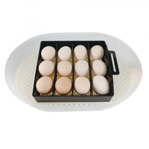 Janoel brand JN12 holding 12 chicken egg incubator automatic cheap egg incubator for sale
