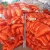 Import Japanese Fishing Net Nylon Fishing Net Hot Sale Monofilament Multifilament Netting from China