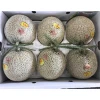 Japanese fruit fresh hard sweet crown melons with best quality