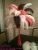 Import Large White Ostrich Feathers for Wedding Centerpiece imported from South Africa from China