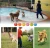 Import latest natural soft rubber chewy durable smiling zanies ball latex squeaky pet dog toys from China