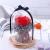 Import Latest preserved rose dried flower in glass dome Valentines Day Gift with gift box from China