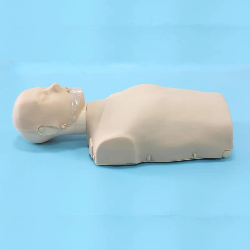 Life Half /full Body Teaching Emergency Science Education Model With Aed Full Size Adult Medical Training Cpr Intubation Manikin