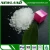 Import Magnesium Nitrate 100% water soluble from China