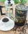 Import Malaysian Made 100% Kopi Luwak Arabica/Robusta Civet Coffee Bean Specialty (Whole Bean/Ground) Gourmet from Malaysia
