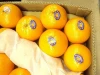 Mandarin "Kinnow" Orange, Citrus fruit from Pakistan