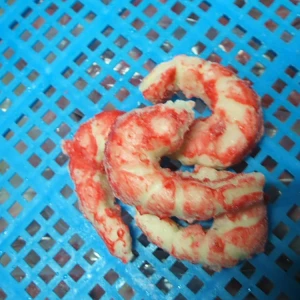 Manufacturer wholesale supply modern cheap frozen shrimp in surimi