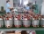 Import Middle pressure large capacity industrial centrifugal fan grain blower fan from China