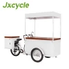 Mobile Solar Panel Electric 3 Wheel Ice Cream Trike Freezer Tricycle With 230L Freezer