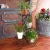 Import Modern Design Floor-Standing Wrought Iron Multiple Plant Stand Flower Pot Thailand from China