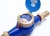 Import Multi Jet Rotary Vane Wheel Wet Dial cold water meter from China