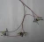 Import MYSUN over 10 years experience in wire harness assembly from China