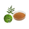 Natural Herb Oleuropein Hydroxytyrosol Olive Leaf Extract Powder